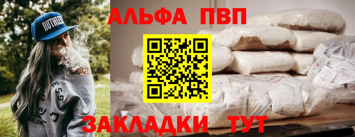 Alfa_PVP СК Урус-Мартан