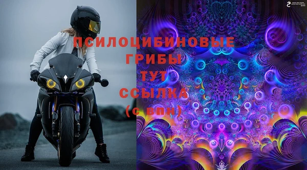 ПСИЛОЦИБИНОВЫЕ ГРИБЫ Абдулино