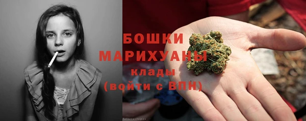 ПСИЛОЦИБИНОВЫЕ ГРИБЫ Абдулино