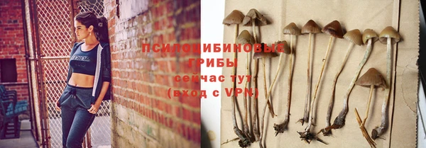 спиды Абинск