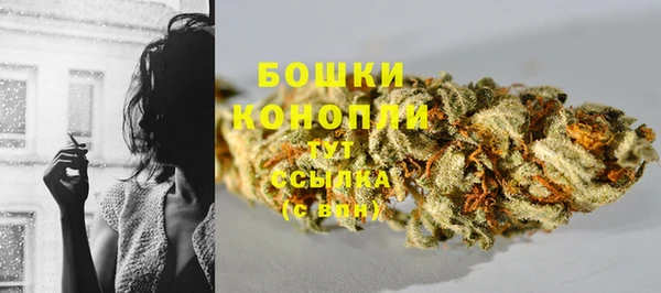ПСИЛОЦИБИНОВЫЕ ГРИБЫ Абдулино