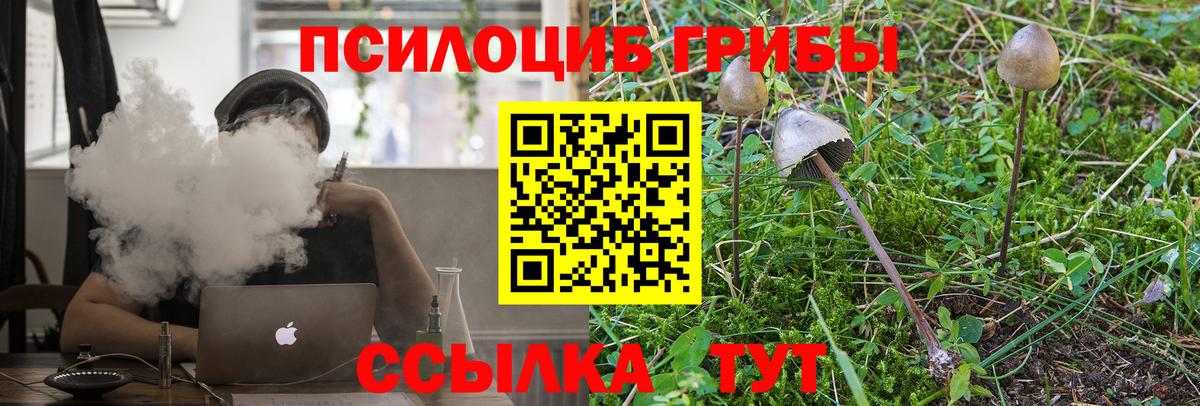 Галлюциногенные грибы Psilocybine cubensis  Вход с VPN  что такое   Урус-Мартан 