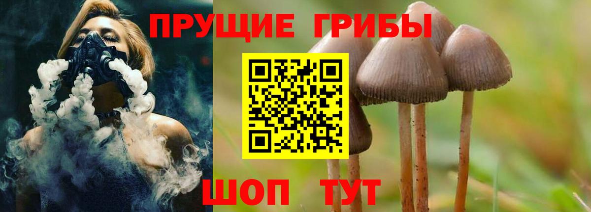 Псилоцибиновые грибы MAGIC MUSHROOMS Урус-Мартан